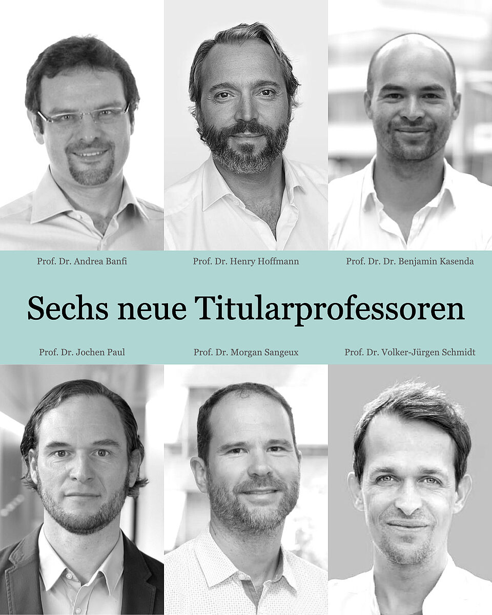 sechs titularprofessoren