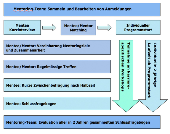 Mentoring-Zyklus